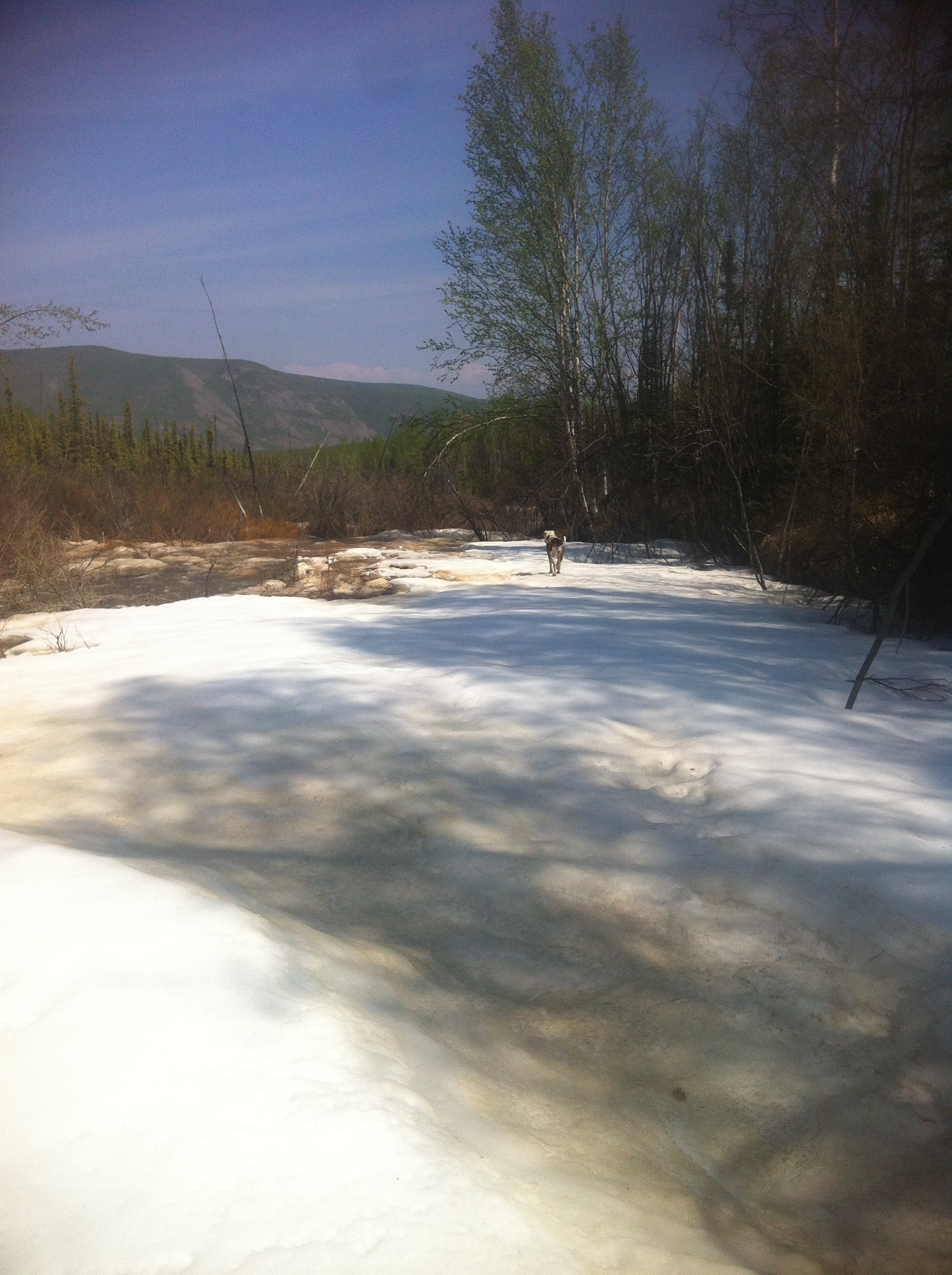 Yukon Gold Claims For Sale Yukon Gold Claims For Sale By Real Yukon Gold Miners Yukon Gold Claims For Sale Yukon Gold Claims For Sale By Real Yukon Gold Miners