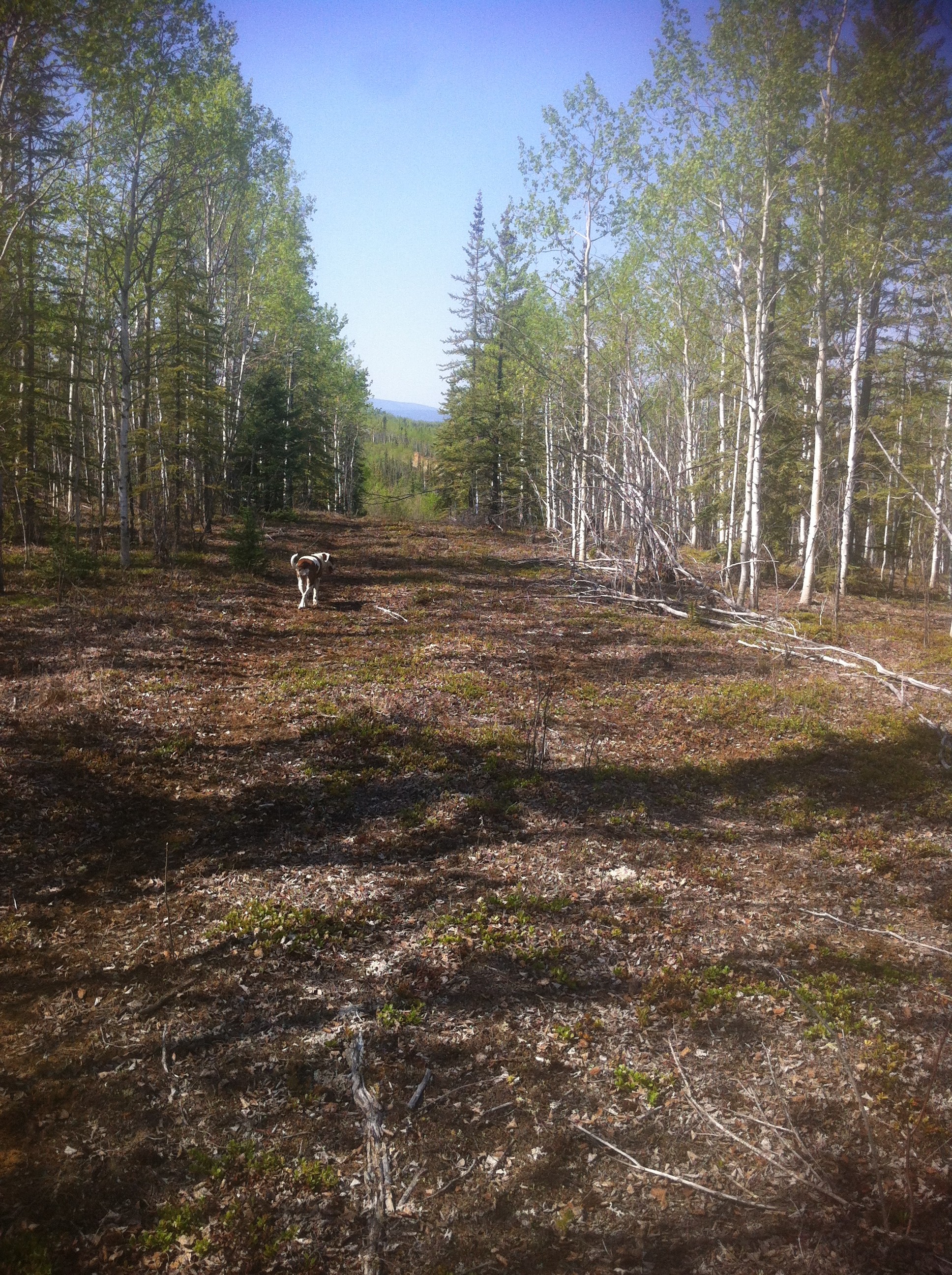 Yukon Gold Mining Claims For Sale Yukon Gold Claims For Sale - Yukon Gold Claims For Sale By Real Yukon